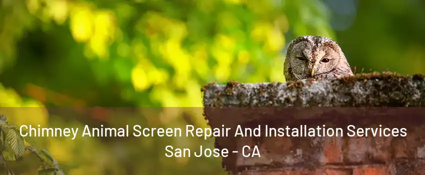 Chimney Animal Screen Repair And Installation Services San Jose - CA