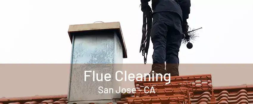 Flue Cleaning San Jose - CA