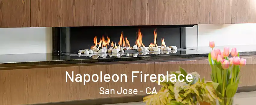 Napoleon Fireplace San Jose - CA