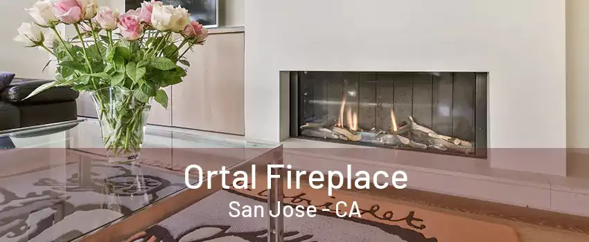 Ortal Fireplace San Jose - CA